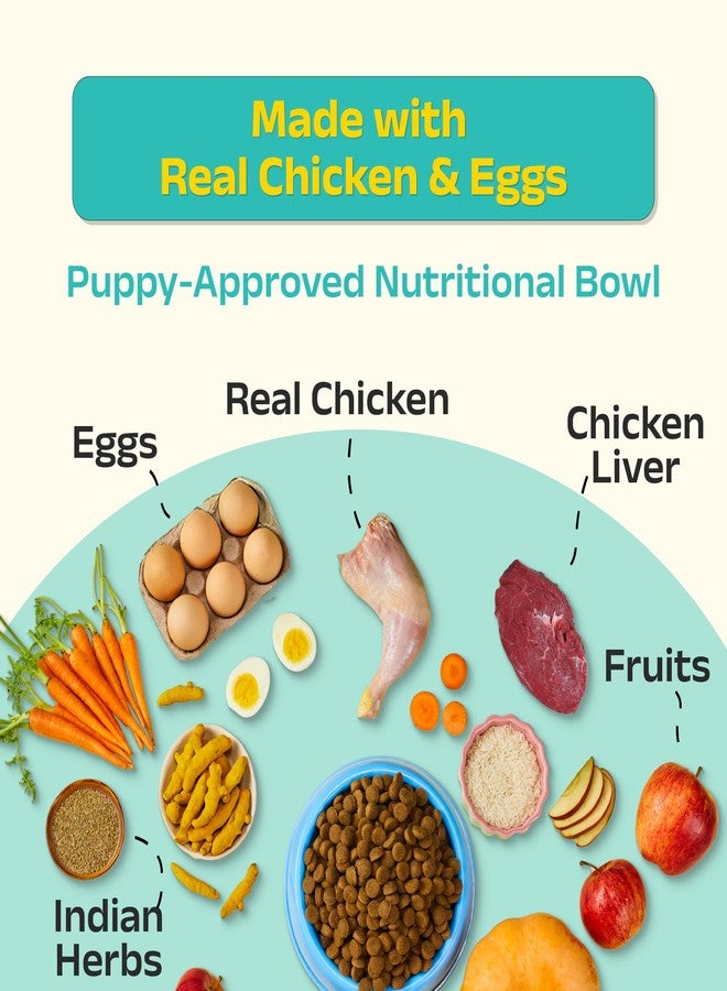 Good Dog Puppy Dry Dog Food | Oven Baked | Fresh Chicken & Eggs | 300g (Pack of 2) | Palatable Meal for Healthy Growth, Strong Bones, Immunity & Digestion | Puppy Food for All Breeds - Image 4
